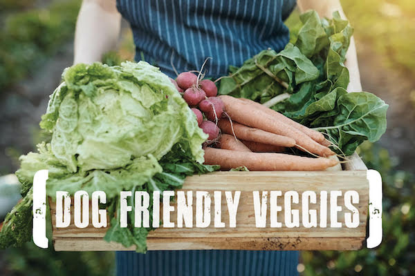 The Doggie Veggie Guide: Safe Options for Your Furry Friend