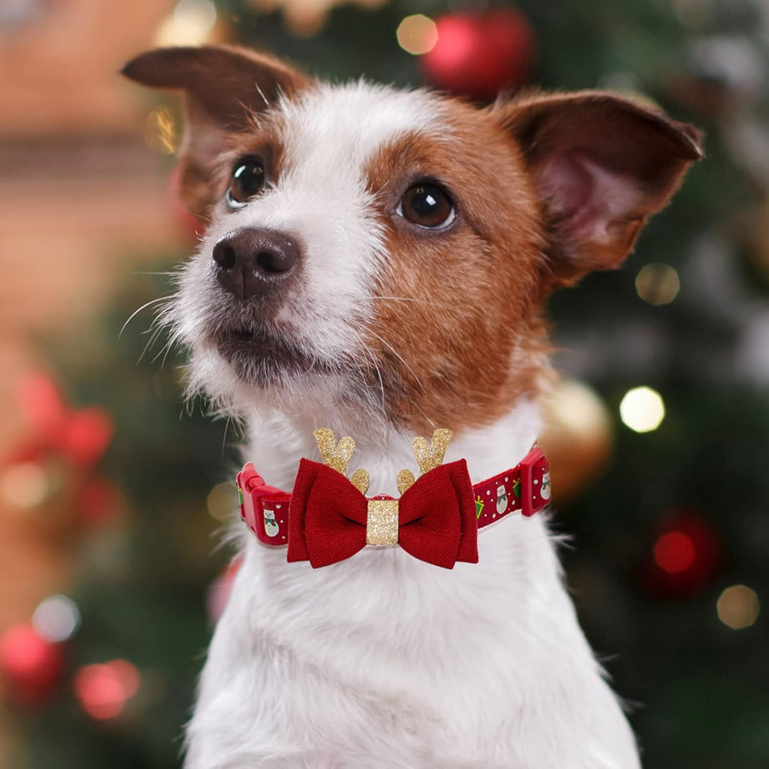 Christmas Bow Tie Dog Collar 